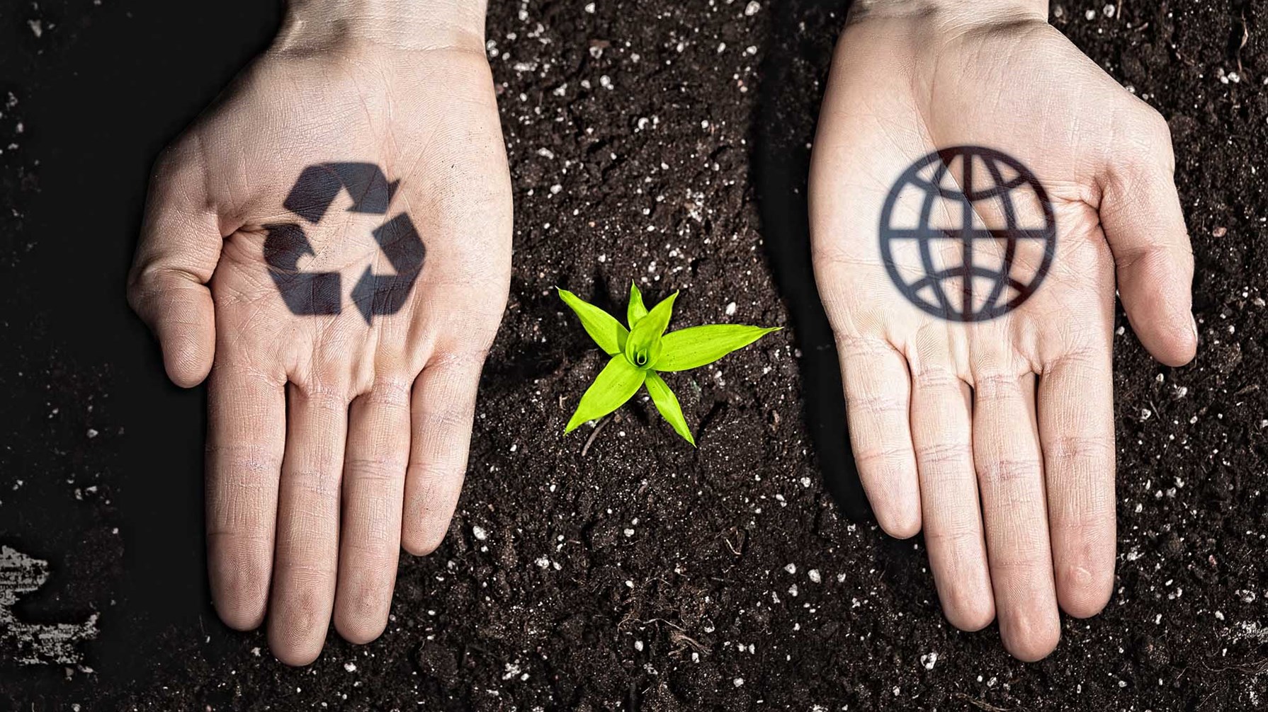 manos con simbolos de reciclaje y planta naciendo