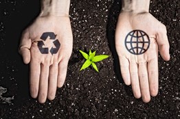 manos con simbolos de reciclaje y planta naciendo